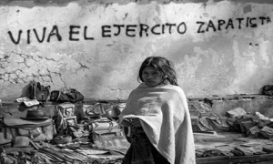 ezln3_opt(1)