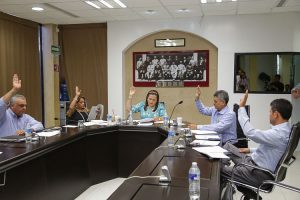 Comisión de gobernación AFCES 010616-10_opt